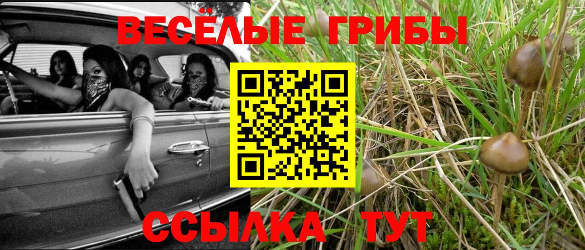 Псилоцибиновые грибы прущие грибы  Вход с VPN  Заводоуковск 