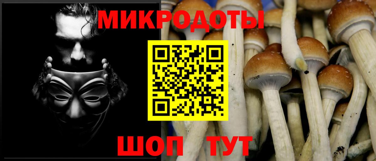 Галлюциногенные грибы прущие грибы Заводоуковск